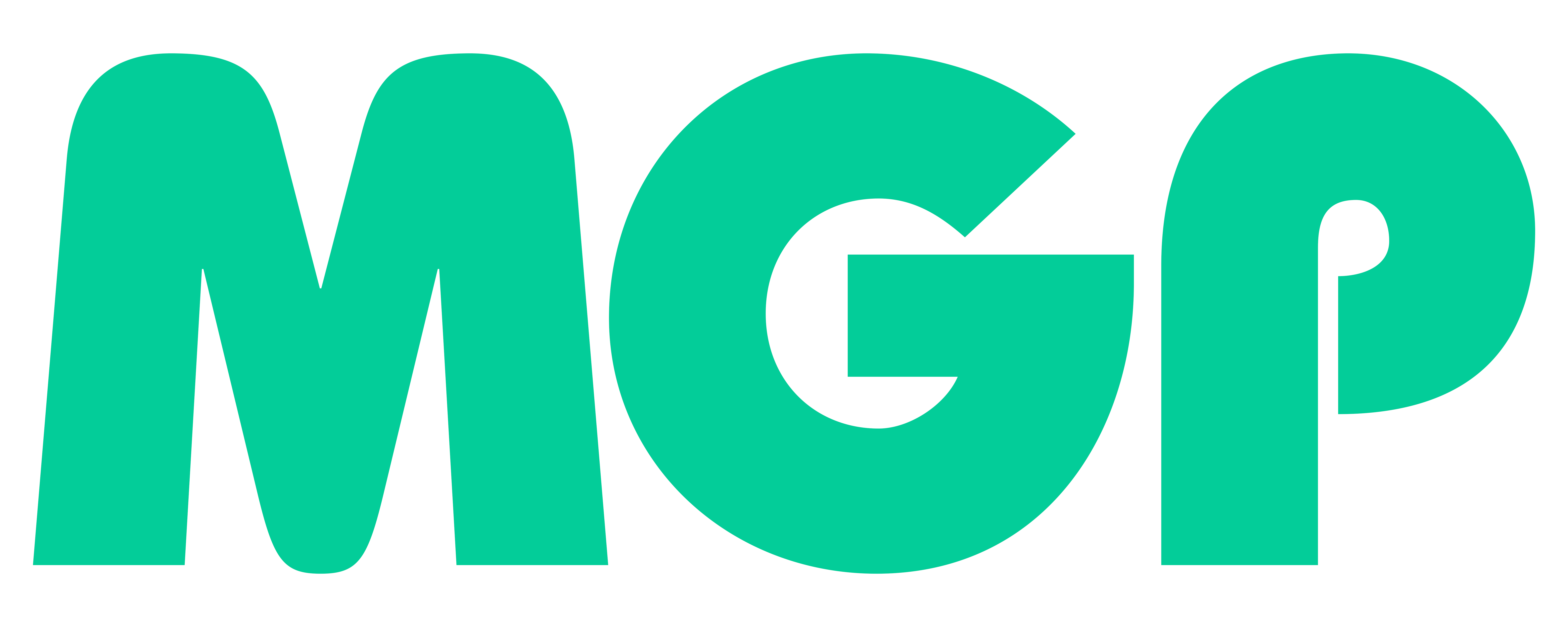 エムジープレシジョン株式会社 （MGP）